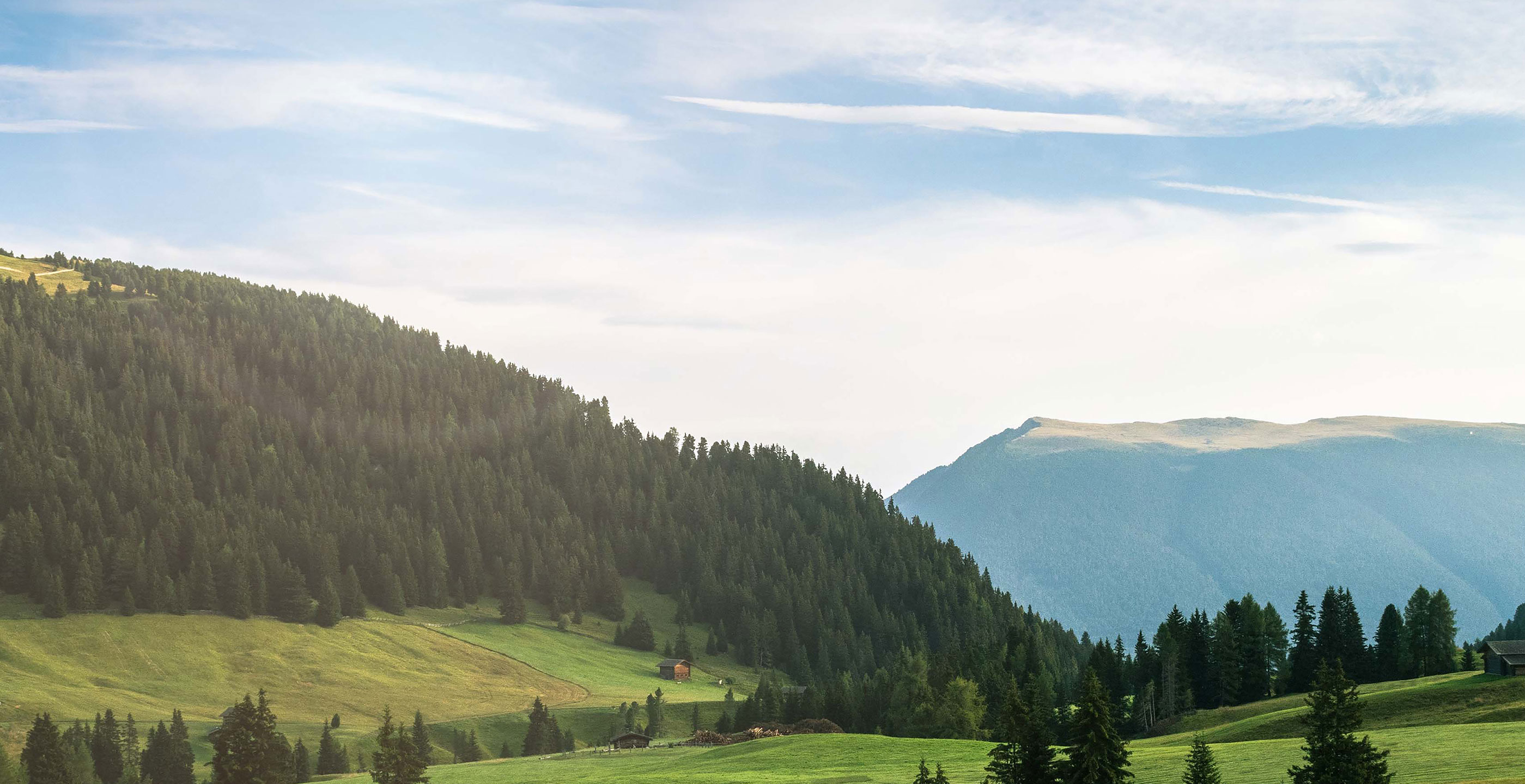 Daniel Company Mission